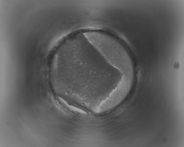 X0000111881448200908201246