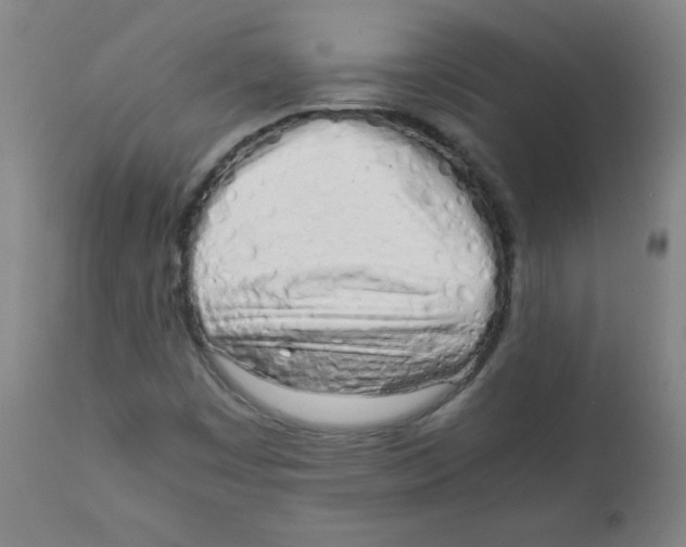 X0000111881449200908201246