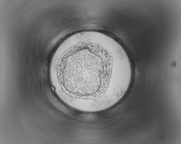X0000111881450200908201246