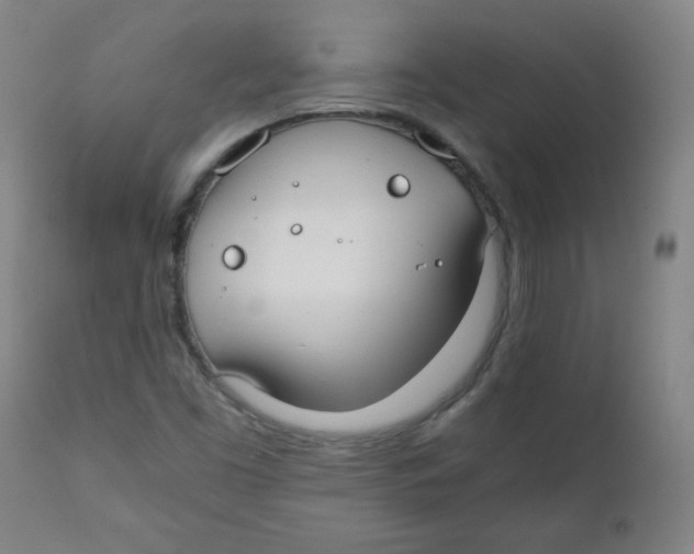 X0000111881453200908201246