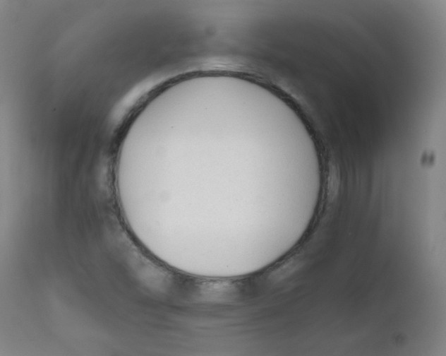 X0000111881454200908201246