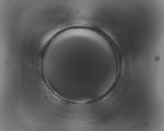 X0000111881455200908201246