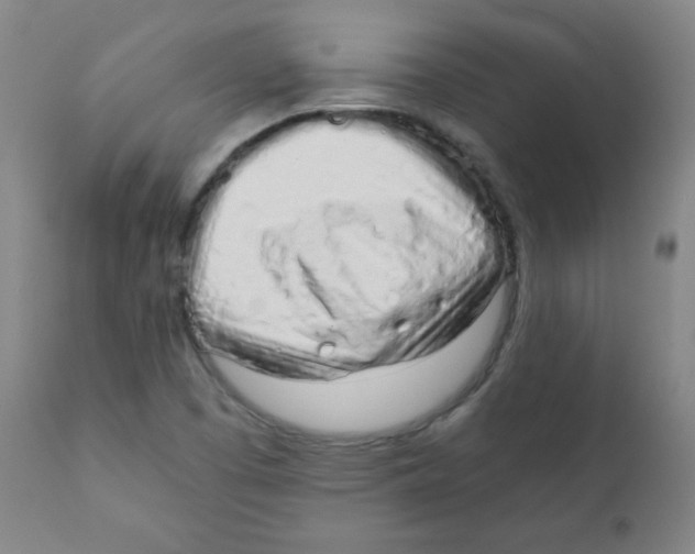 X0000111881457200908201246