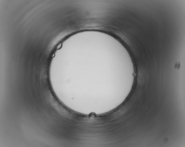 X0000111881458200908201246
