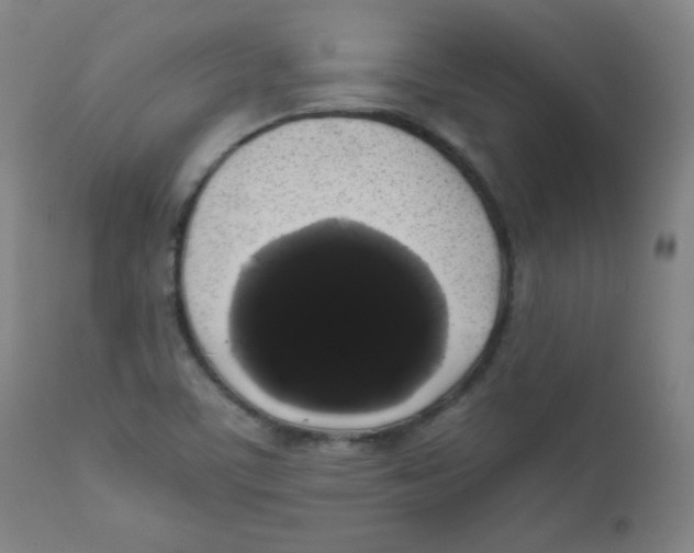 X0000111881459200908201246