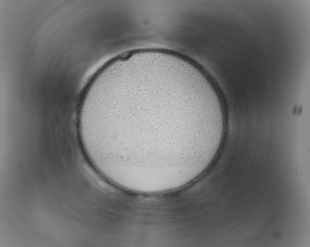 X0000111881460200908201246