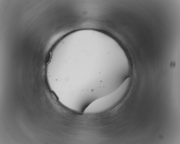 X0000111881461200908201246