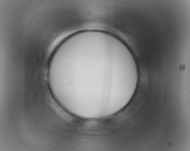 X0000111881462200908201246