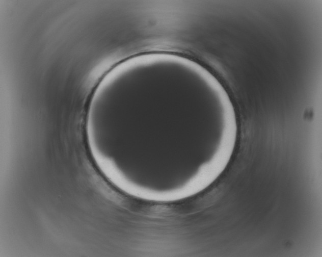 X0000111881463200908201246