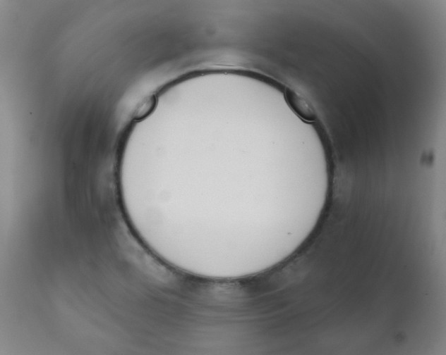 X0000111881464200908201246