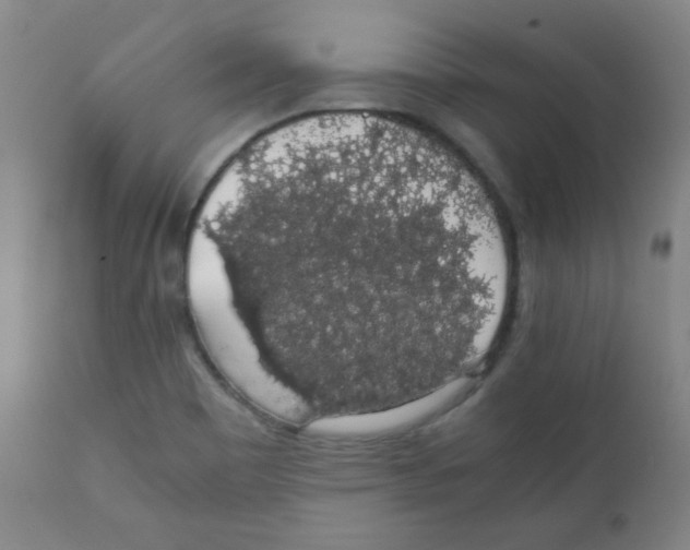 X0000111881465200908201246