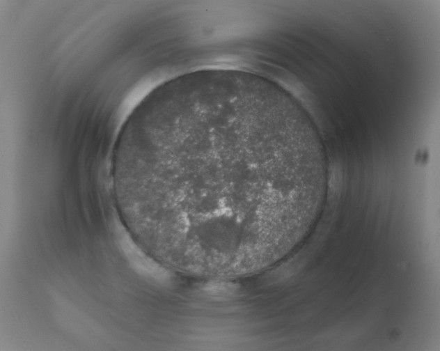 X0000111881466200908201246