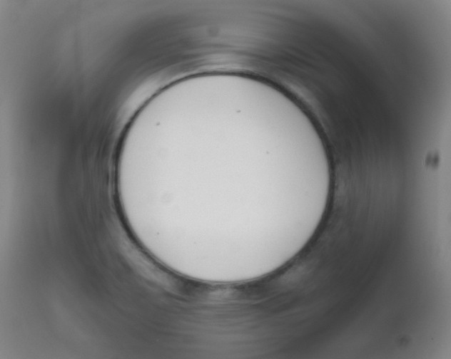 X0000111881467200908201246