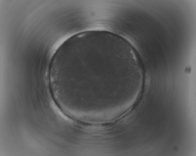 X0000111881468200908201246