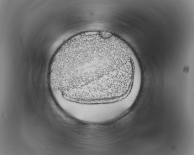 X0000111881469200908201246