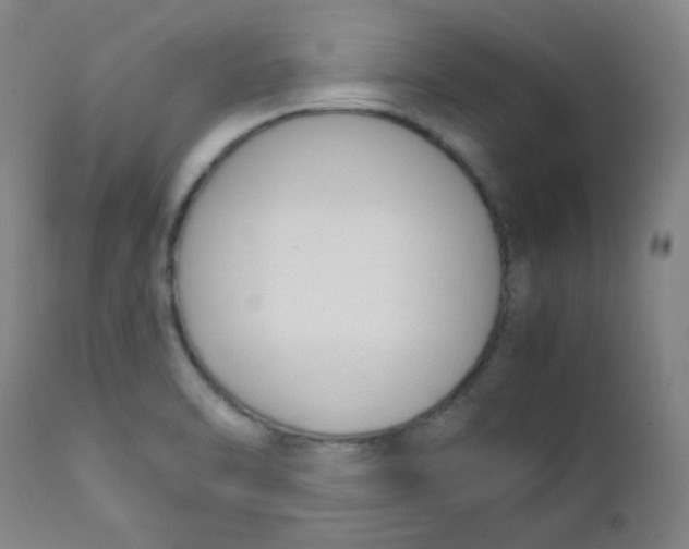 X0000111881470200908201246