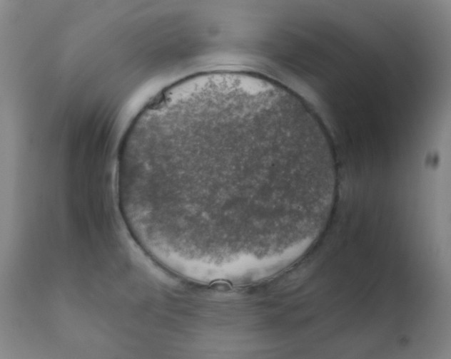 X0000111881472200908201246