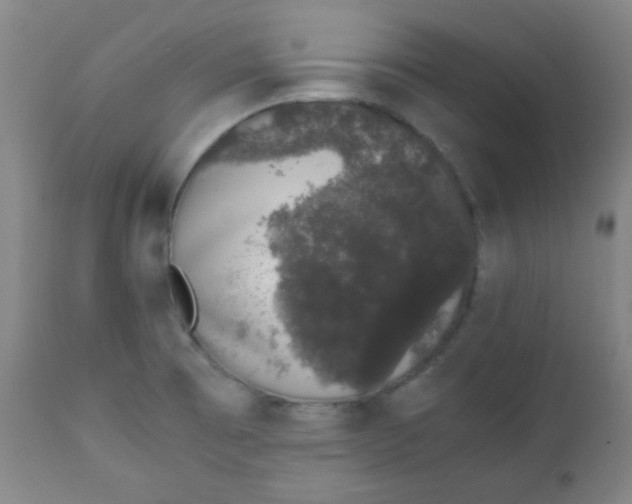 X0000111881473200908201246