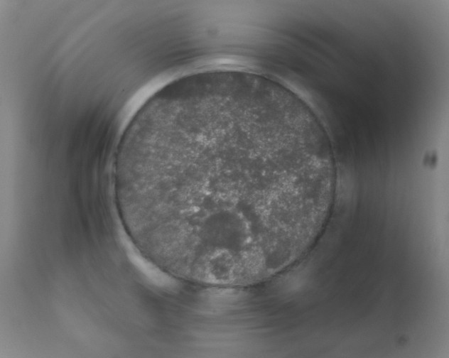 X0000111881474200908201246