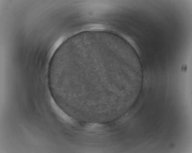 X0000111881475200908201246
