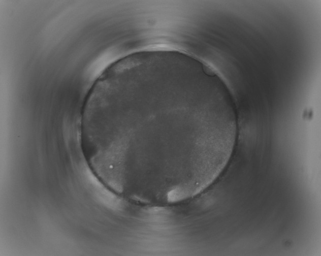 X0000111881476200908201246