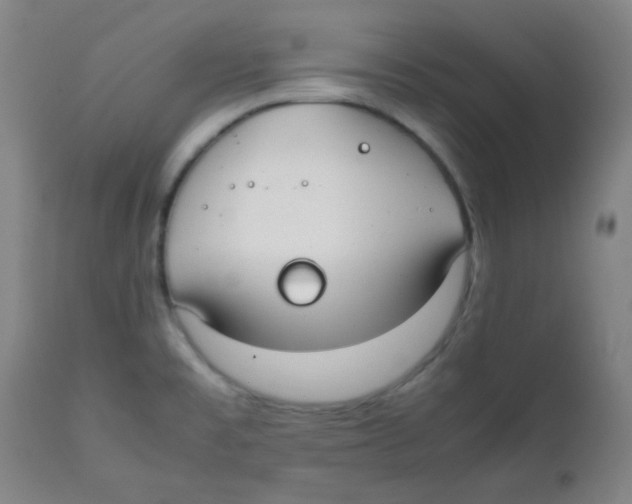 X0000111881477200908201246