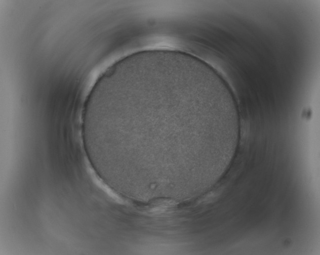 X0000111881480200908201246