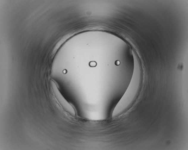 X0000111881481200908201246