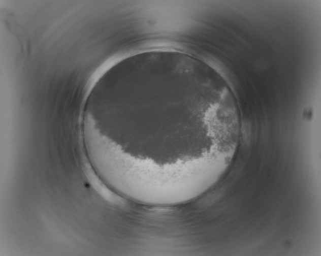 X0000111881482200908201246