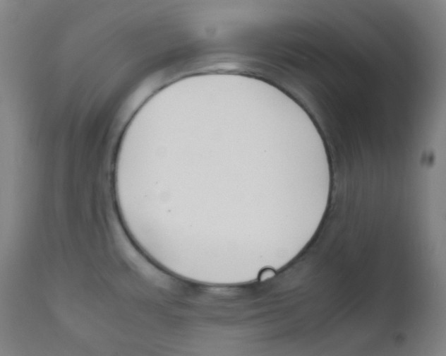 X0000111881483200908201246