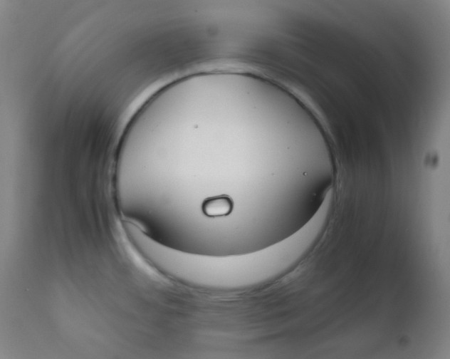 X0000111881484200908201246