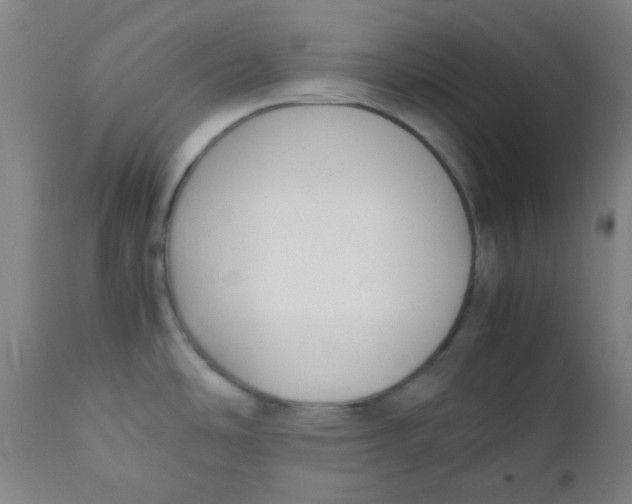 X0000111881486200908201246