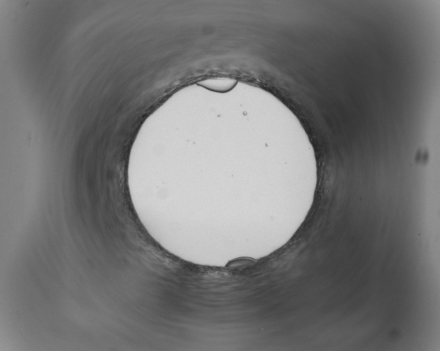 X0000111881489200908201245