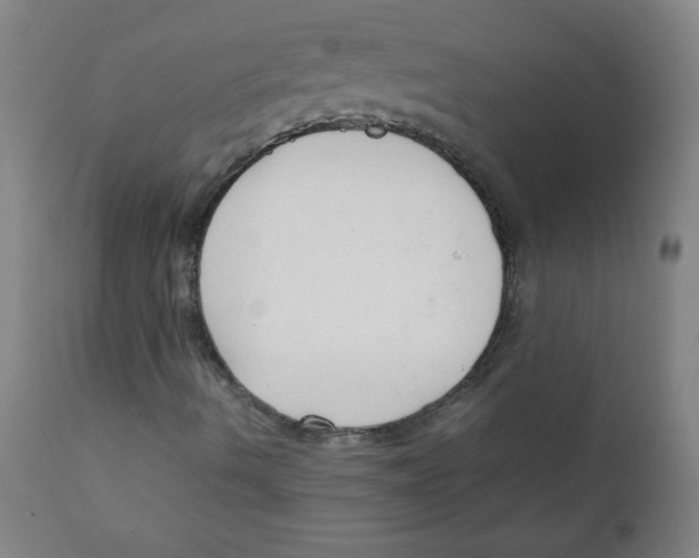 X0000111881490200908201245