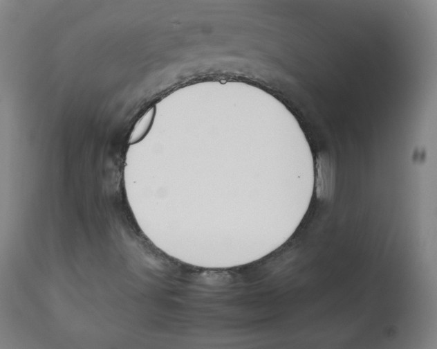 X0000111881491200908201245