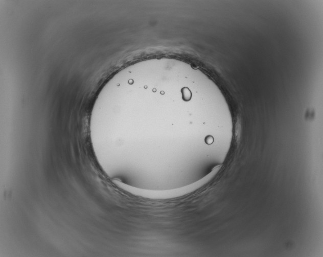 X0000111881492200908201245