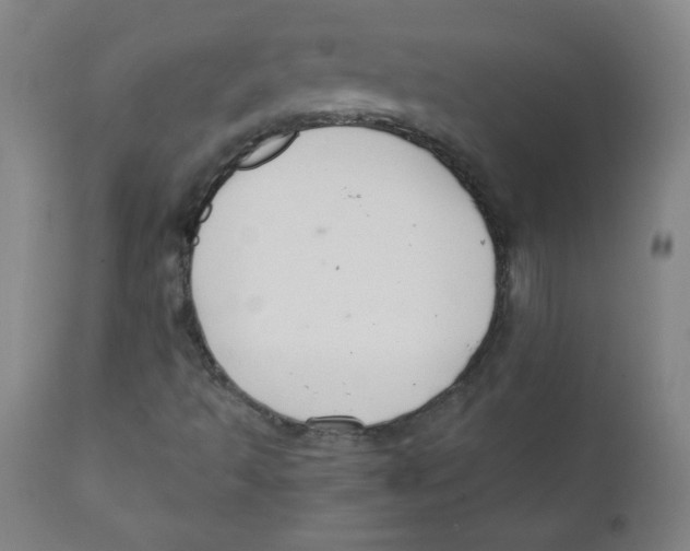 X0000111881493200908201245