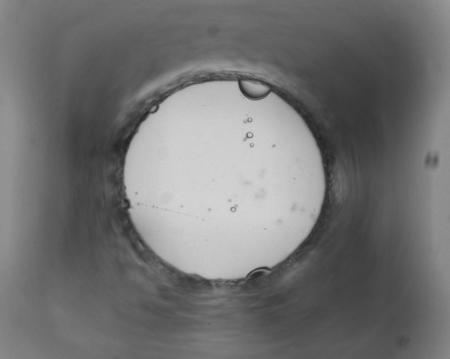 X0000111881494200908201245