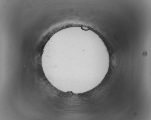 X0000111881495200908201245