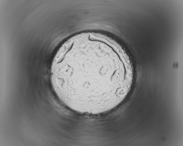 X0000111881497200908201245