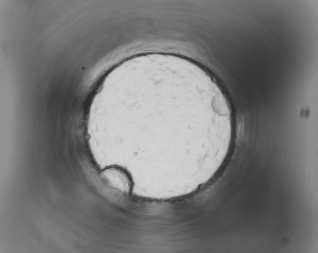 X0000111881498200908201245
