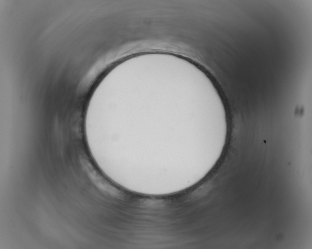 X0000111881499200908201245