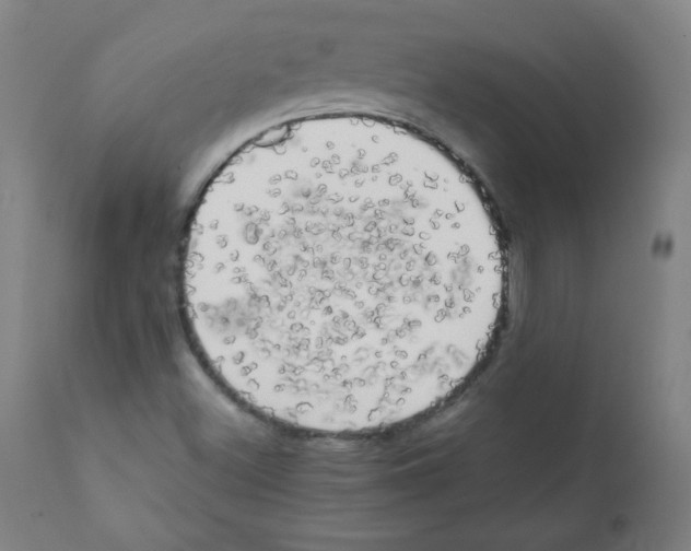 X0000111881500200908201245