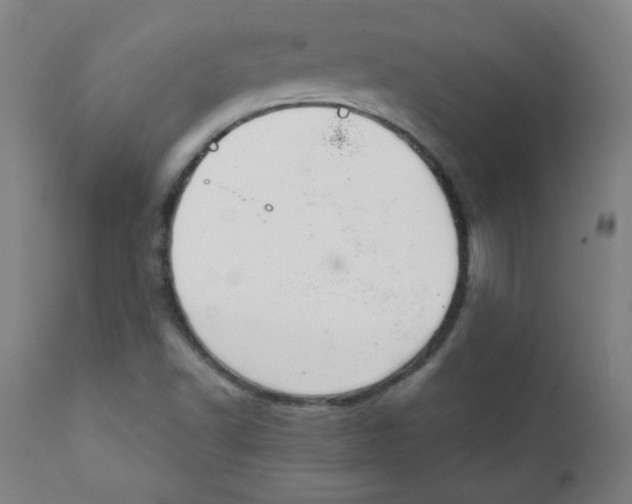 X0000111881502200908201245