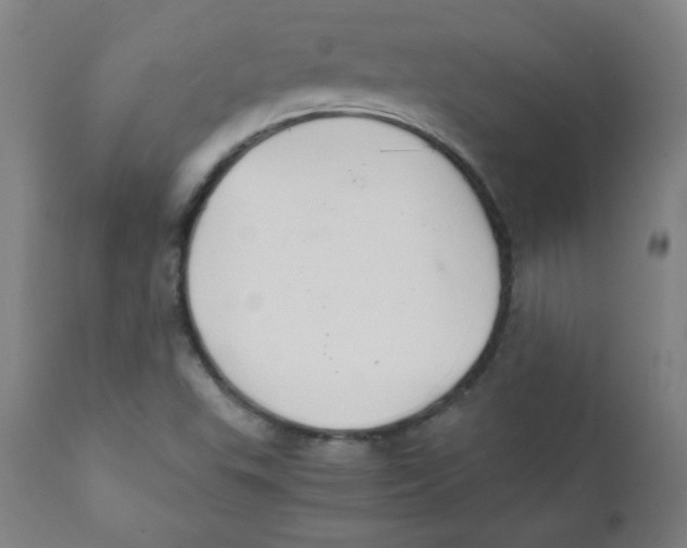 X0000111881503200908201245