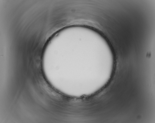 X0000111881505200908201245
