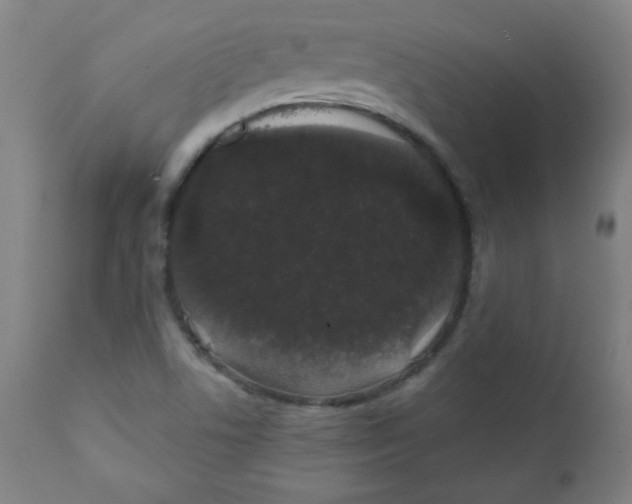 X0000111881506200908201245