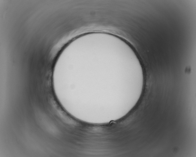 X0000111881507200908201245