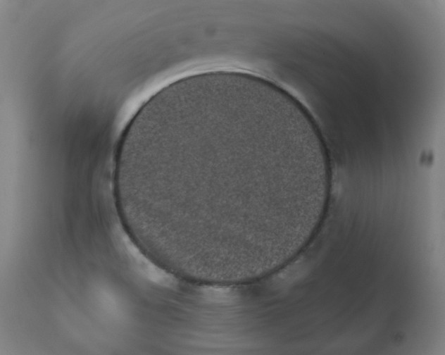 X0000111881508200908201245