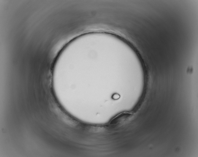 X0000111881509200908201245
